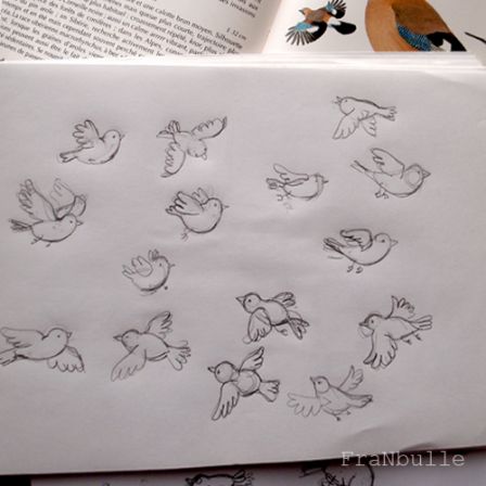 croquis crayon oiseaux, oct. 2013 croquis crayon oiseaux