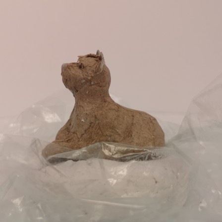 IMG_20260210_154234.jpg, fév. 2026