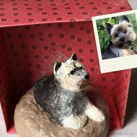 photo-chien-papier-mache-LOU-yorkshire-franbulle-2.jpg, fév. 2026